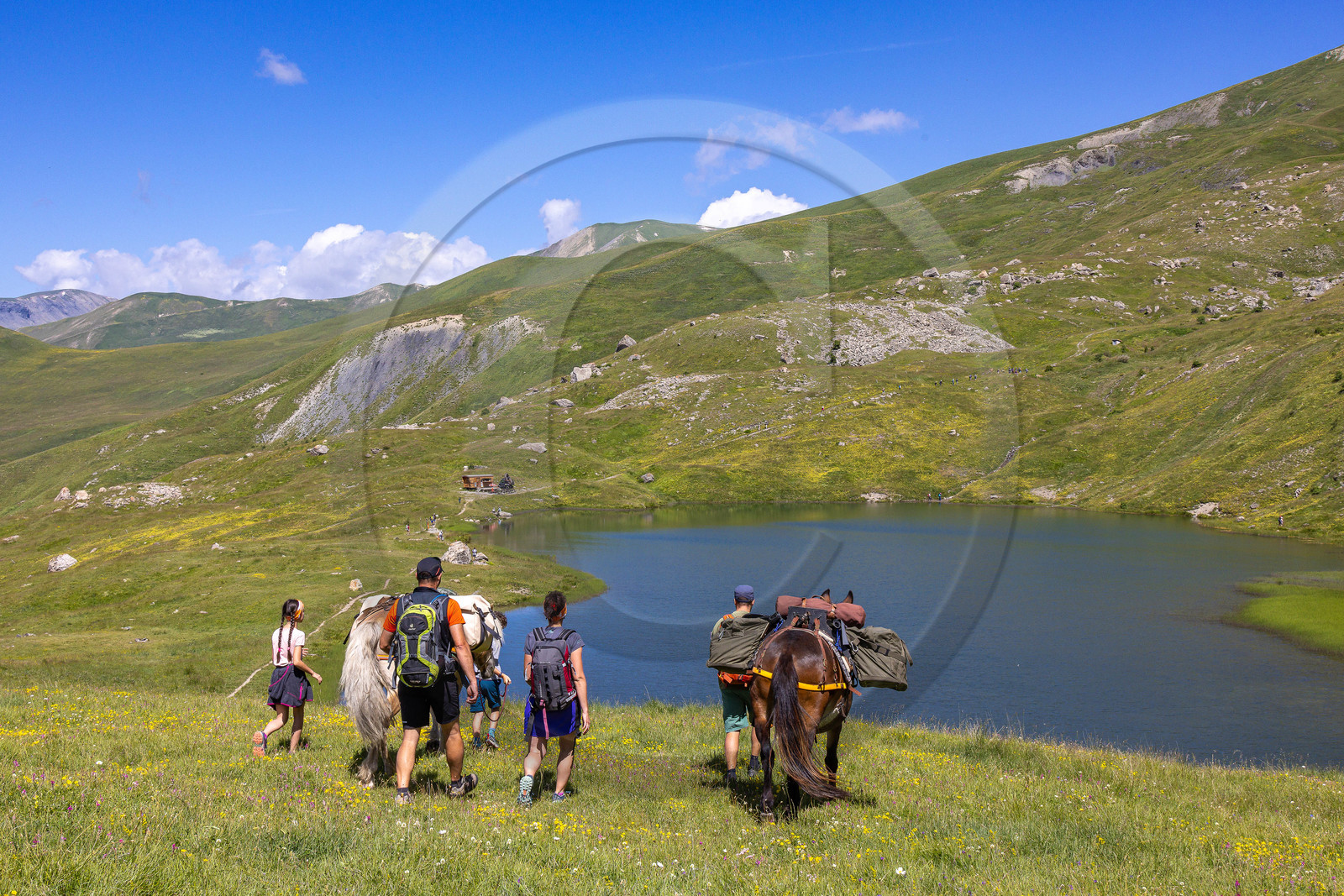 Trek famille avec animaux de bats