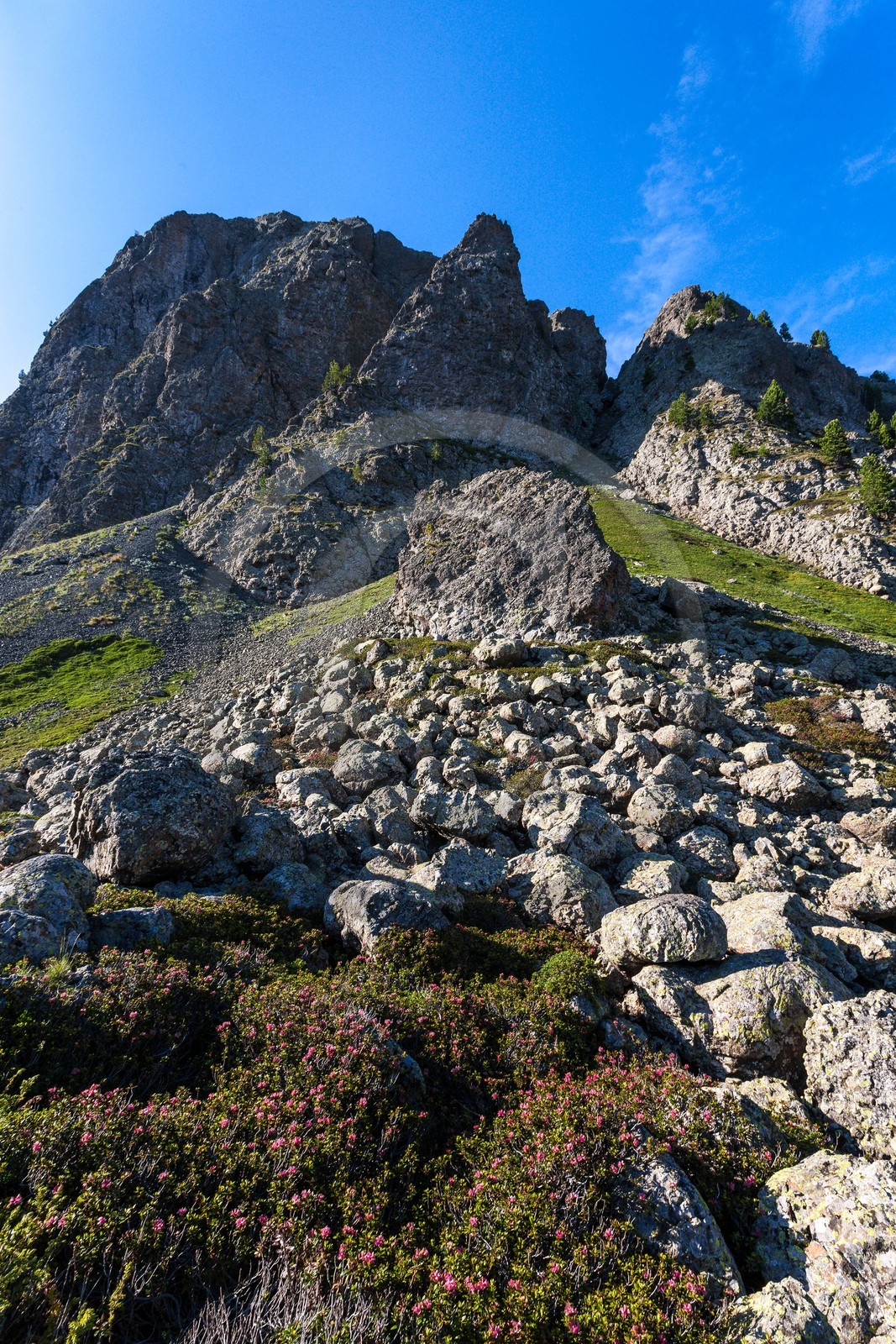 Montgenèvre, Le Chenaillet, ophiolites