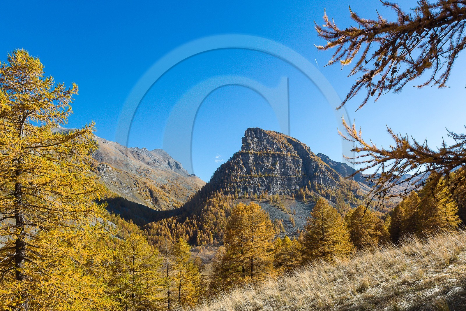 Jausiers, Lac des Sagnes et forêt de mélèzes à l'automne