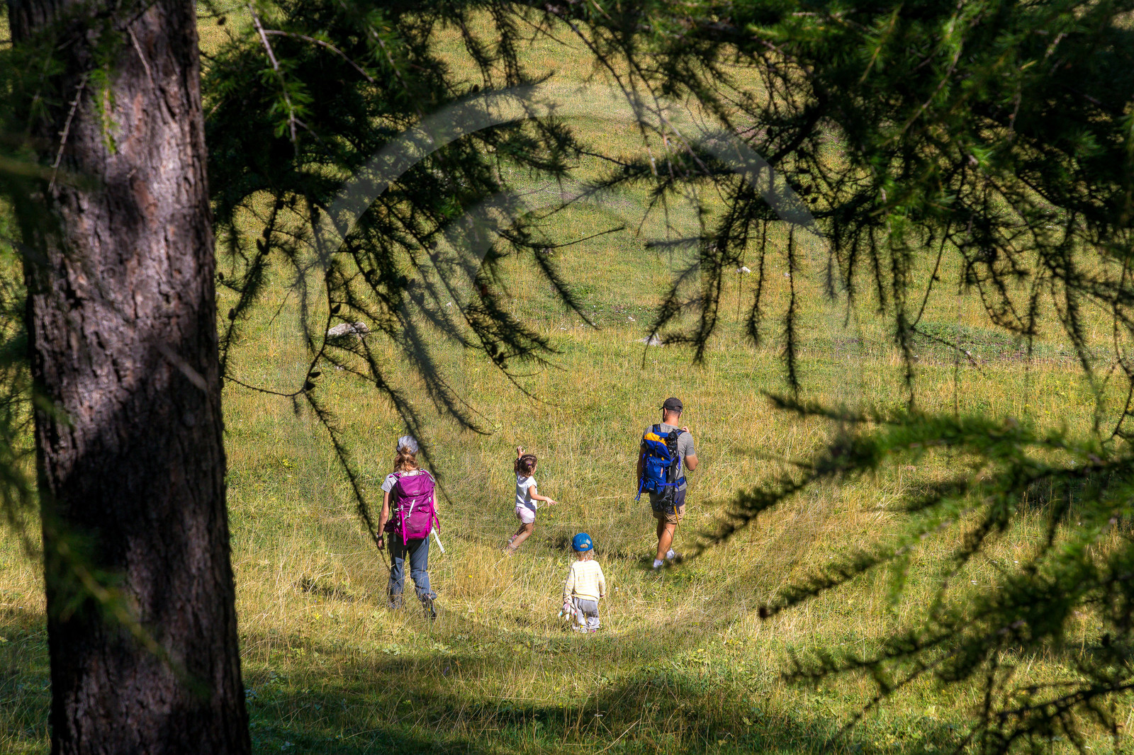 Bureau Montagne Visa Trekking