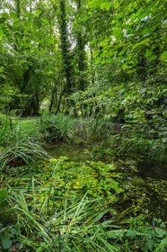 ENS de l'Isère, Boucle des Moïles