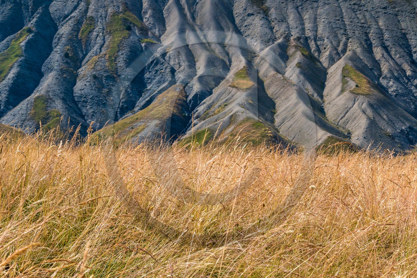 Les Monges, col de Combanière , Les Barbencs, Chabanon, le Bressa