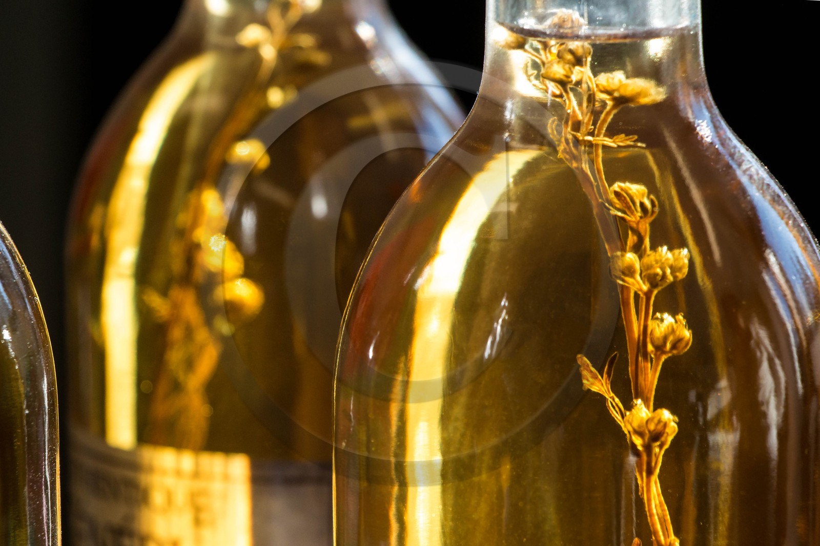 Orcières 1850, Génépi Guillaumette