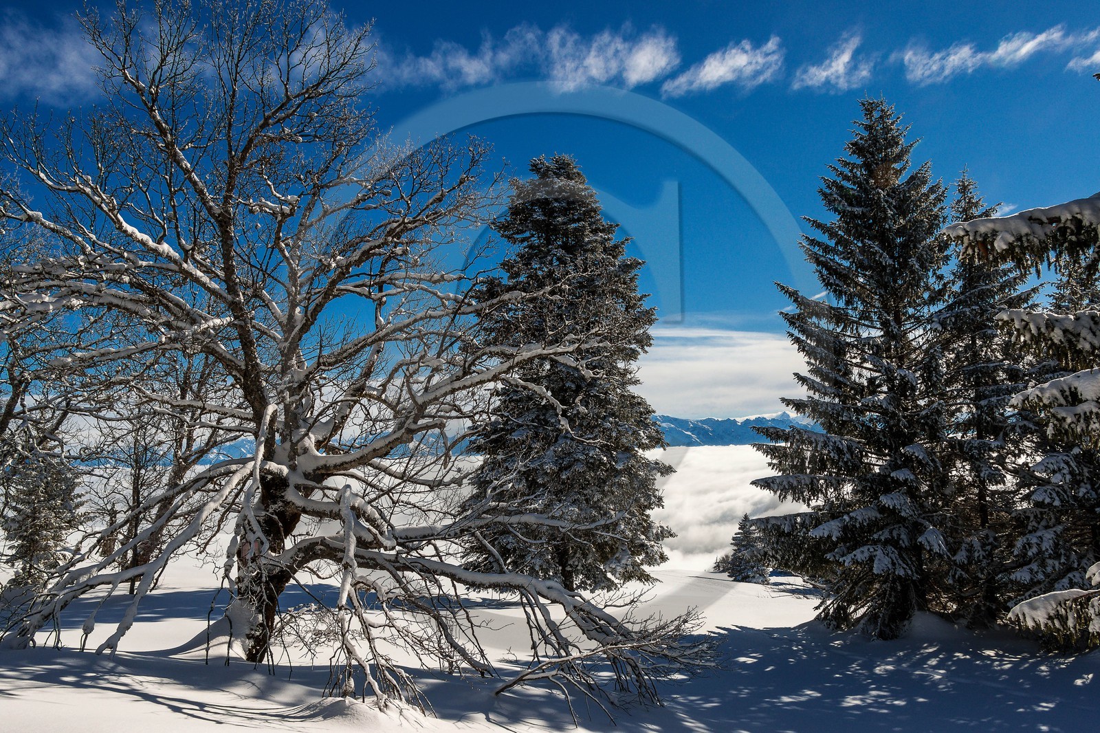 ENS de l'Isère, Plateau de la Molière et du Sornin