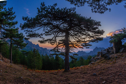 Les Aiguilles de Bavella (forchi di Bavedda )