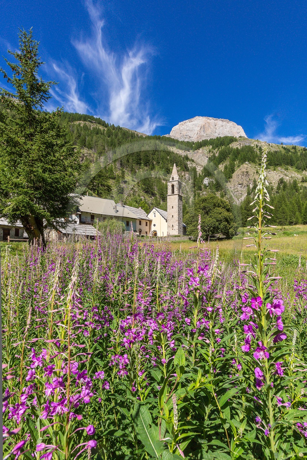 Ubaye, Vallon du Laverq