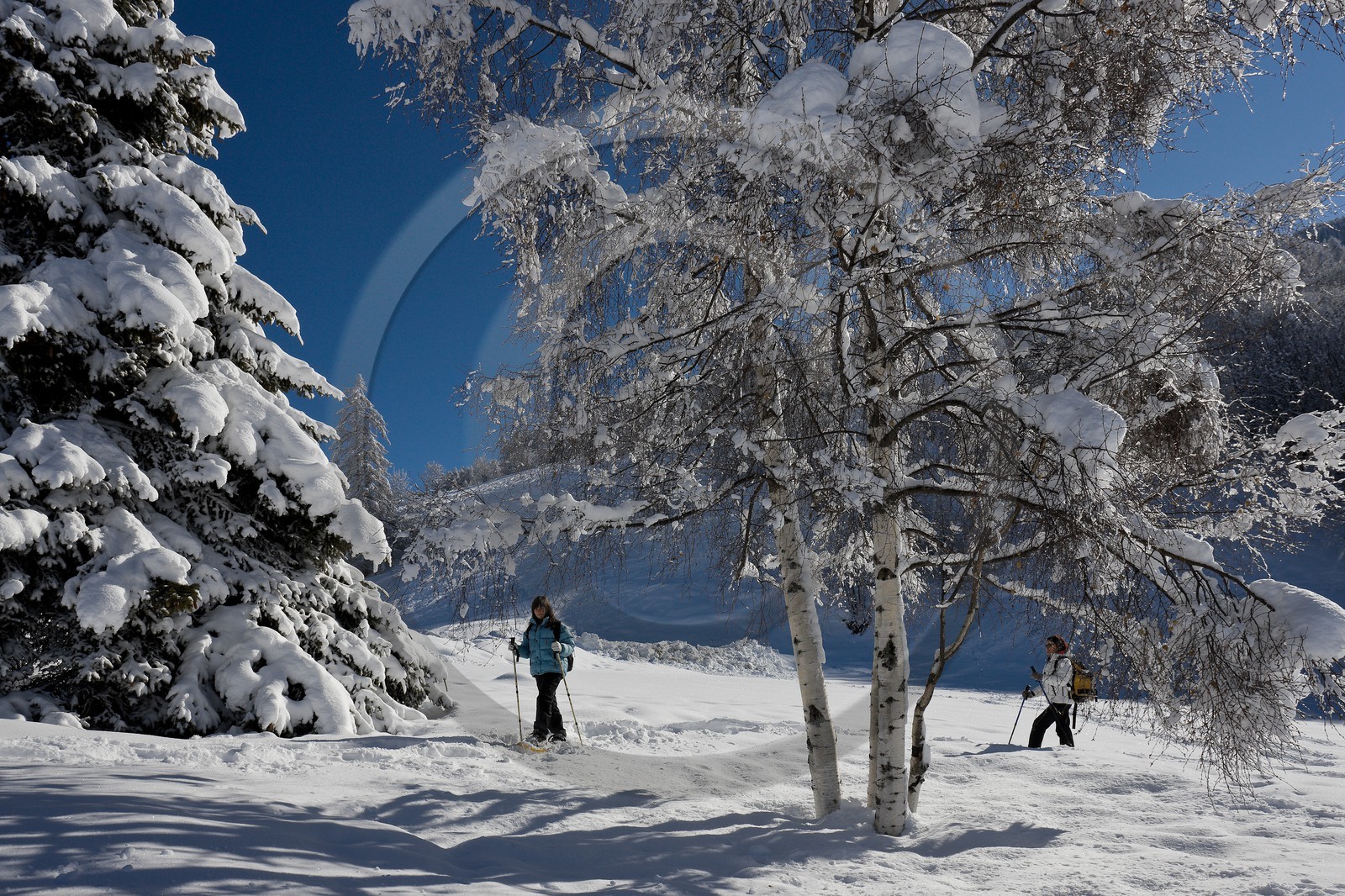 Randonnée raquettes