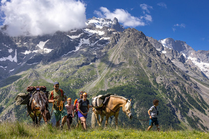 Trek famille avec animaux de bats