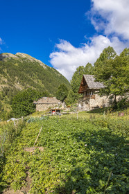 L'Ecrin de Violette, Chambres et table d'hôtes