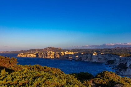 Bonifacio