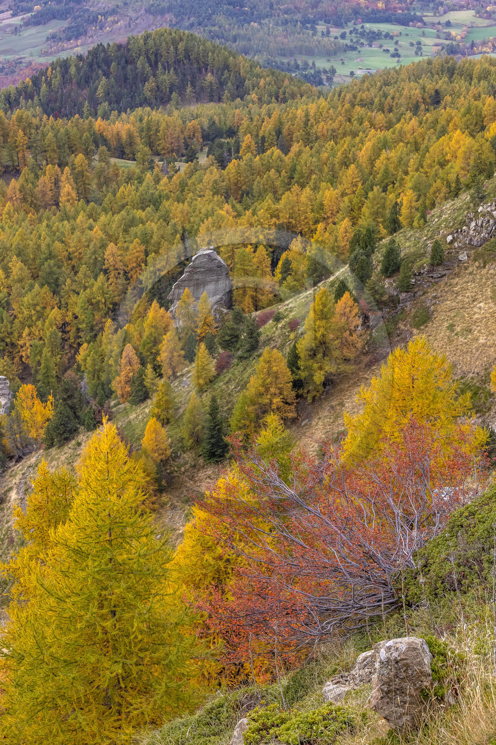 L'automne dans la Vallée du Champsaur