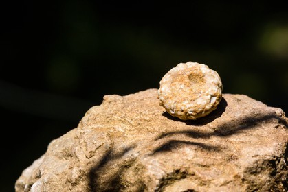 ENS de l'Isère, vallée fossile des Rimets