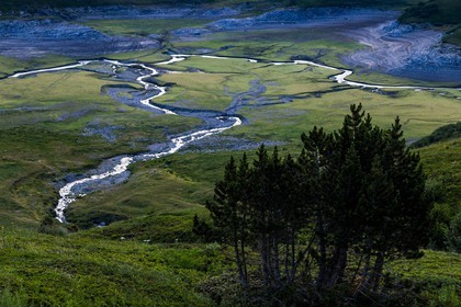 alpages du lac du Mont-Cenis