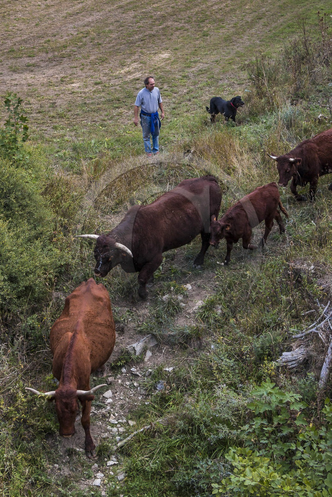 Valderoure, Stéphane et Valérie Maillard