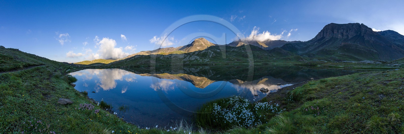 Orcières 1850, linaigrettes au lac Jumeaux et le Roc Diolon