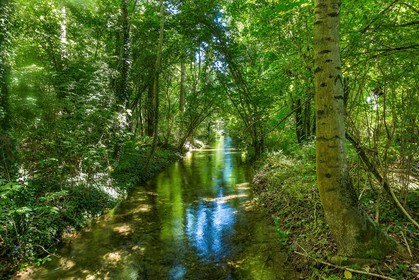 ENS de l'Isère, Les Fontaines de Beaufort