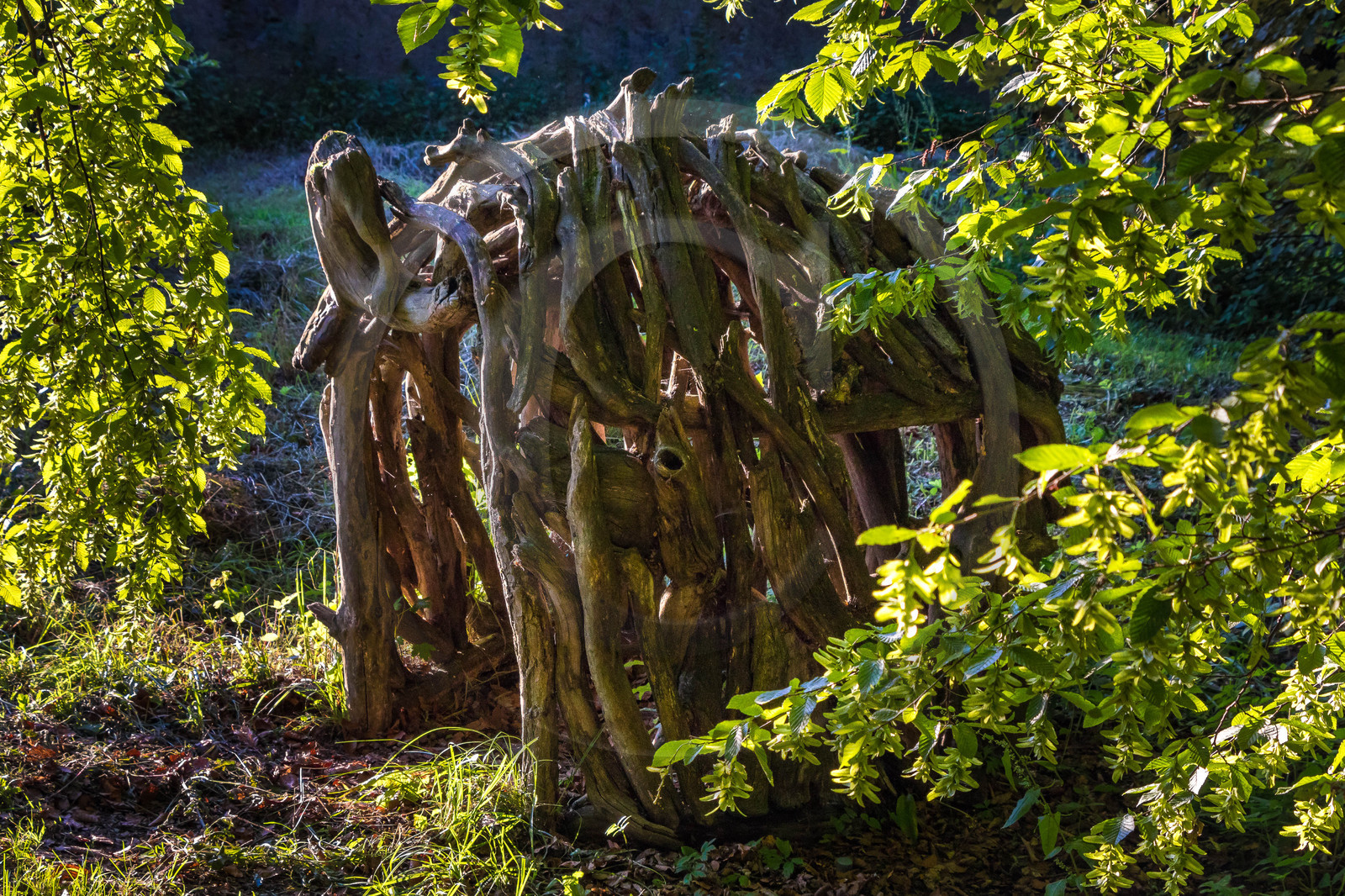 Les jardins de l'eau du Pré Curieux