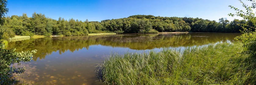 ENS de l'Isère, Etang des Béroudières