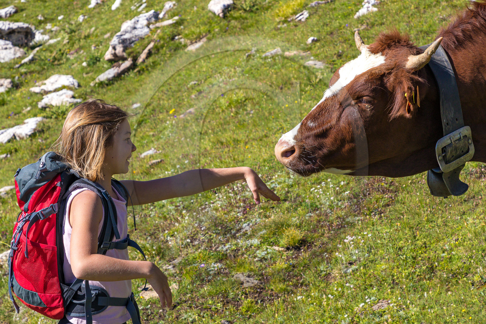 Plateau d'Emparis, randonnée pédestre