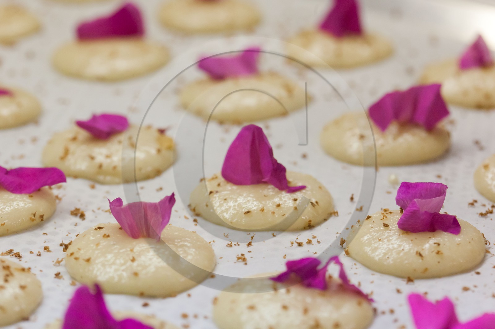 Château de Picomtal, stage de cuisine avec Luc Eyriey Maître chocolatier