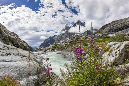 Alexandre Puech, accompagnateur en moyenne montagne