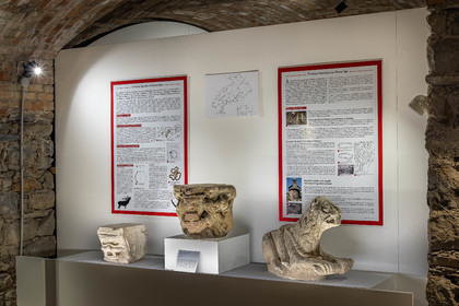 Gap, Musée Muséum départemental des Hautes-Alpes