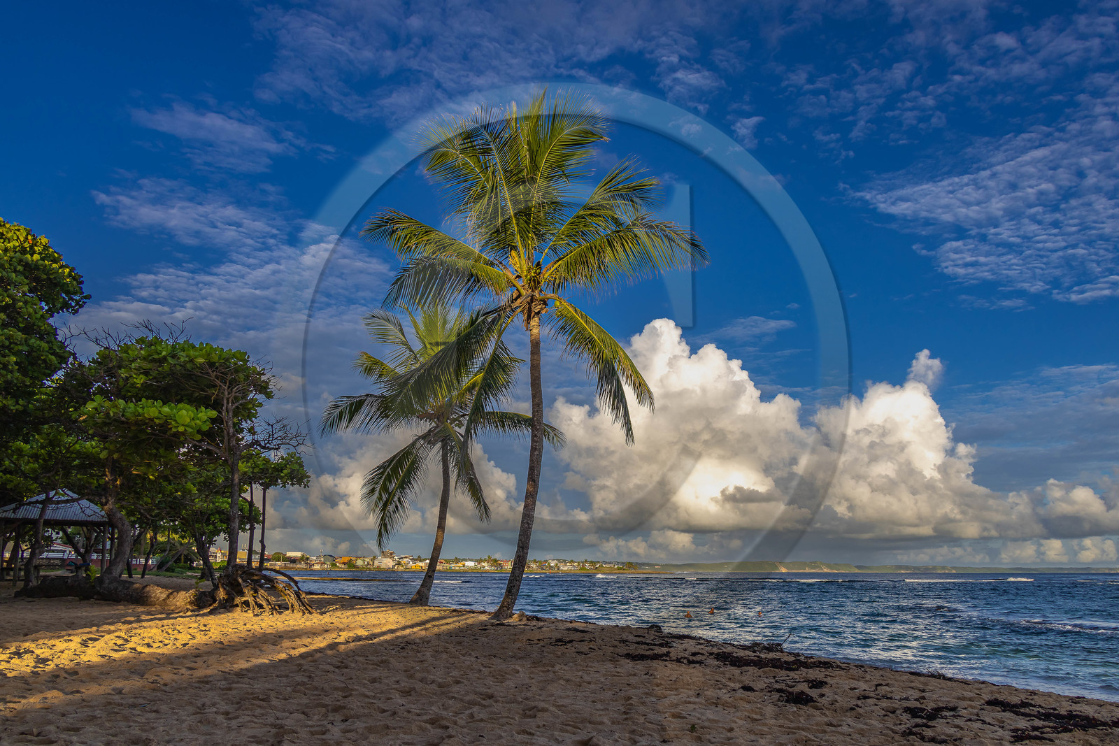Guadeloupe, Le Moule, plage de L'Autre Bord