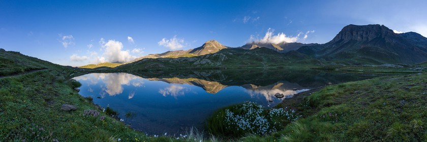 Orcières 1850, linaigrettes au lac Jumeaux et le Roc Diolon