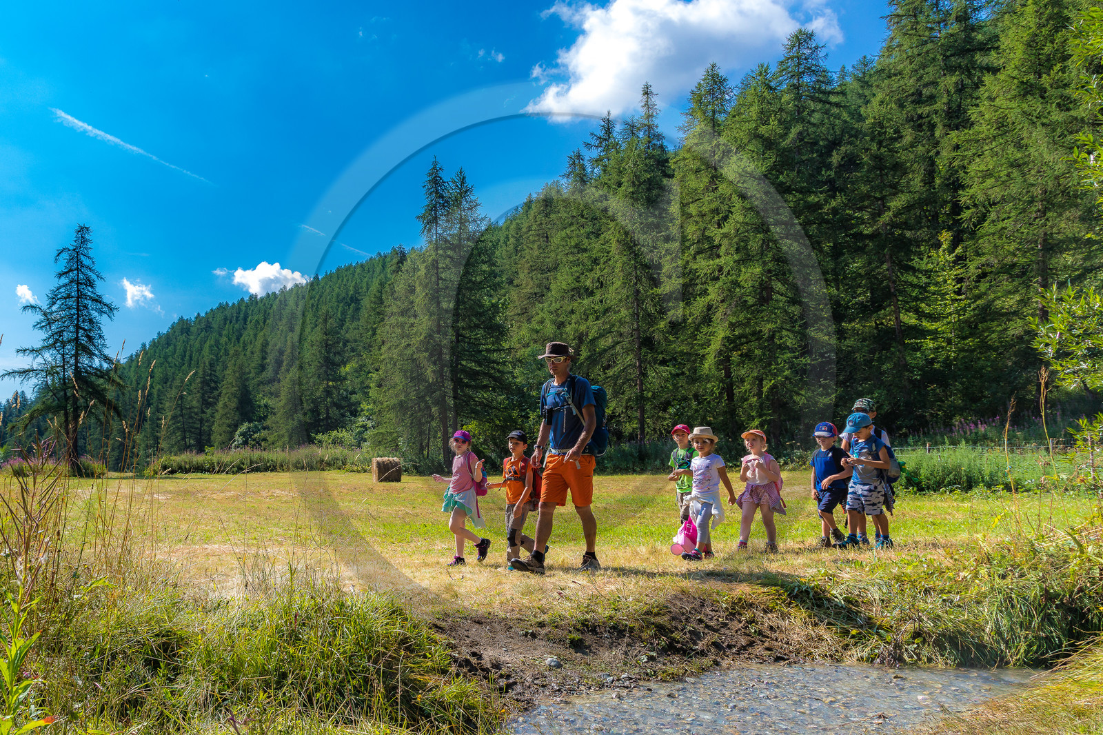 Curieux de nature, sortie découverte avec Cyril Mahout