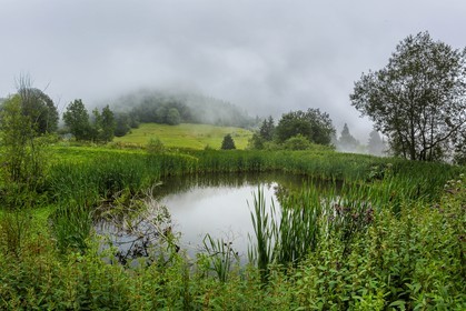 ENS de l'Isère, Les Ecouges, marais du Rivet