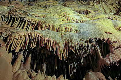 Grotte de Dargilan
