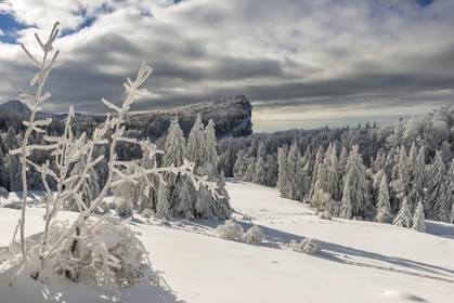 ENS de l'Isère, Les Ecouges