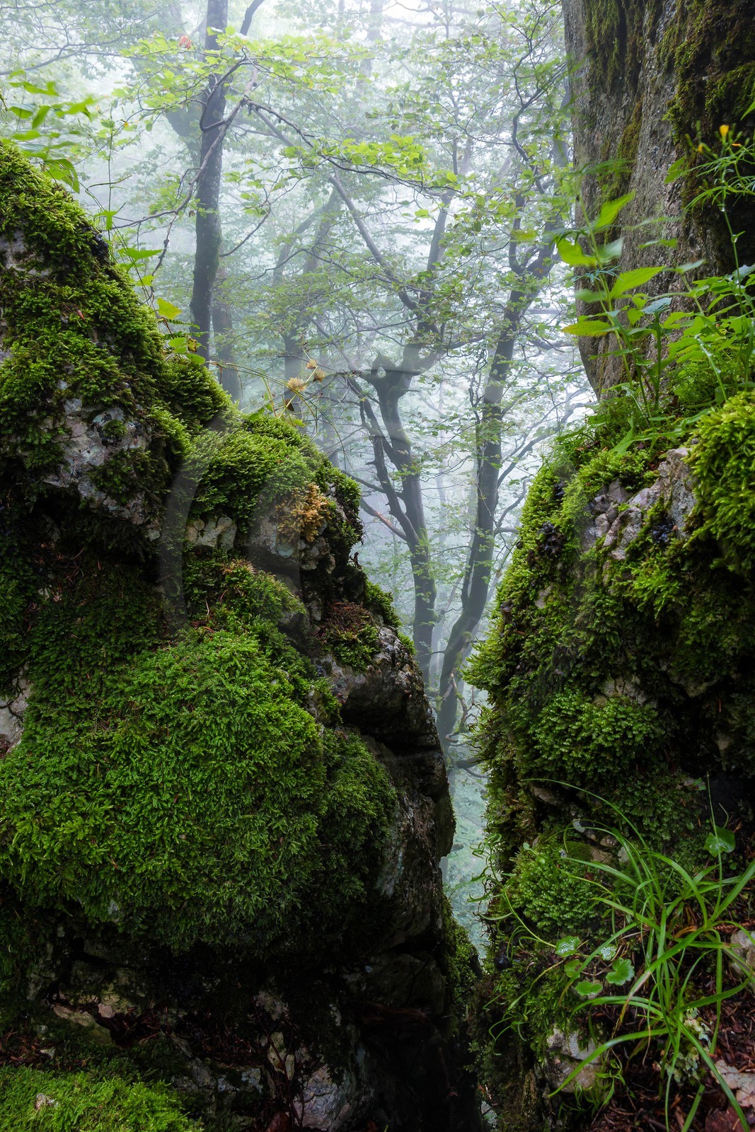 ENS de l'Isère, Les Ecouges