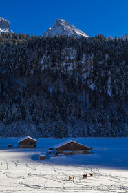 Le Grand Bornand, Les Plans