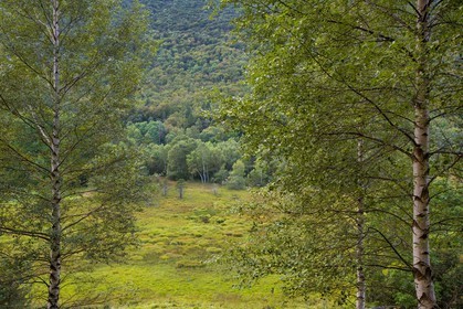ENS de l'Isère,Tourbières du Peuil