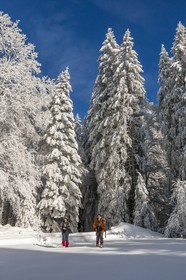 ENS de l'Isère, Les Ecouges
