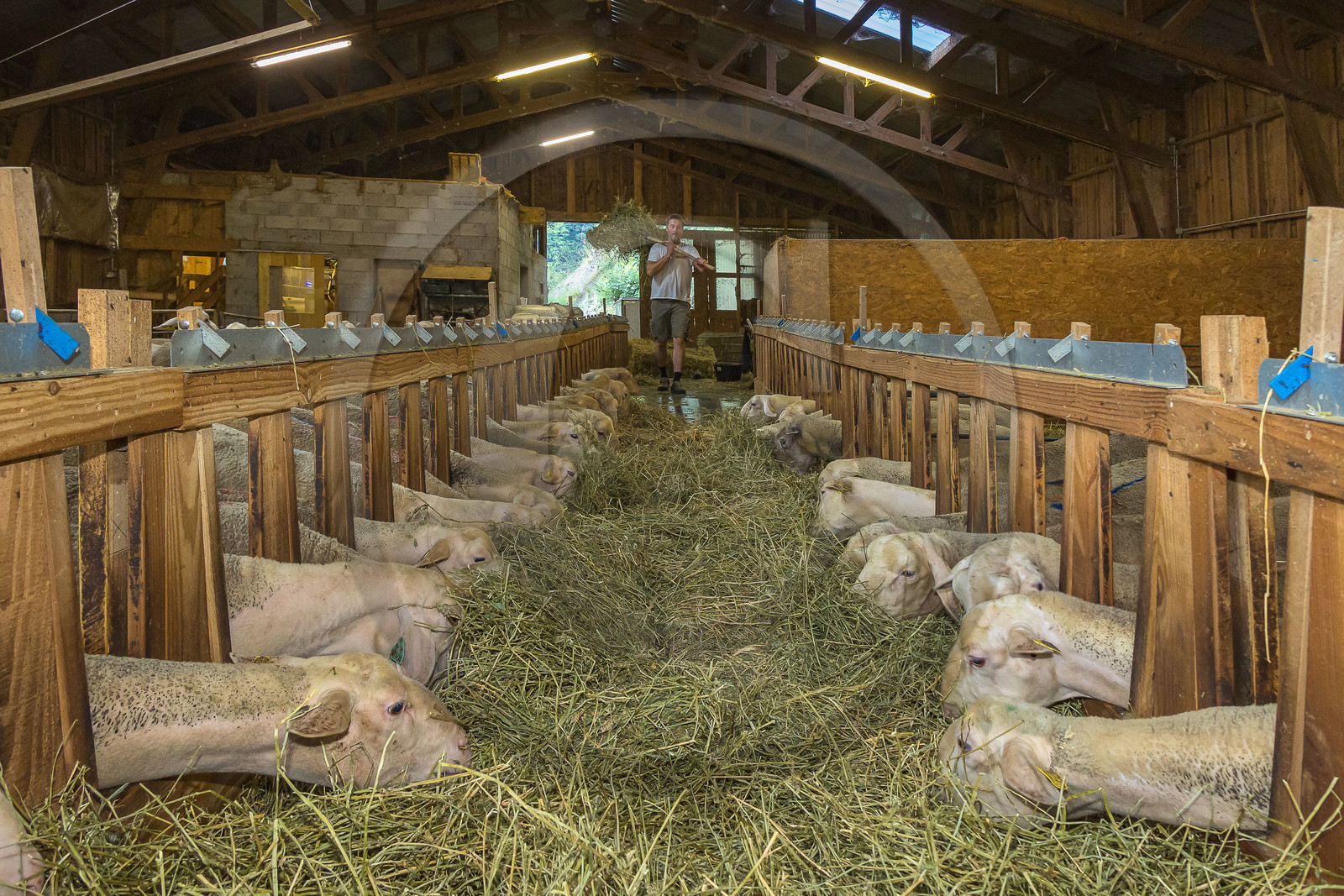 Bergerie de la Lignarre