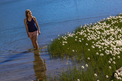 Lac Palluel