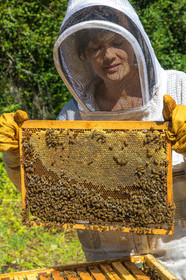 Margaux and Didier Pissard, beekeepers