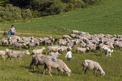 Ferme des Sonnailles, famille Pellissier