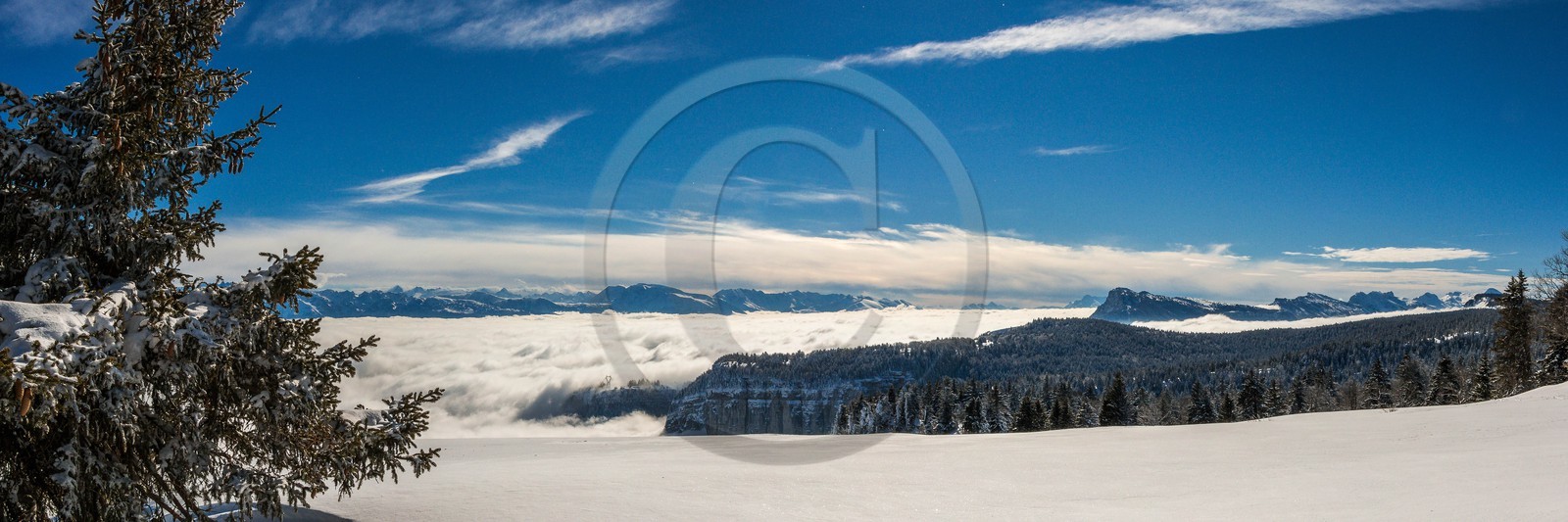 ENS de l'Isère, Plateau de la Molière et du Sornin