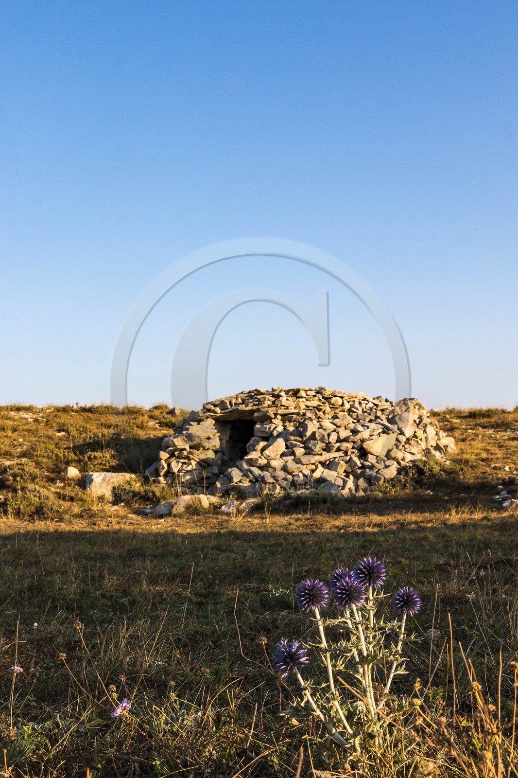 Caussols,  plateau de Calern, borie