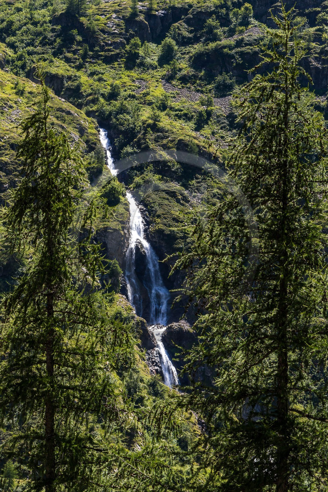 Vallée de Champoléon, cascade de Prelles