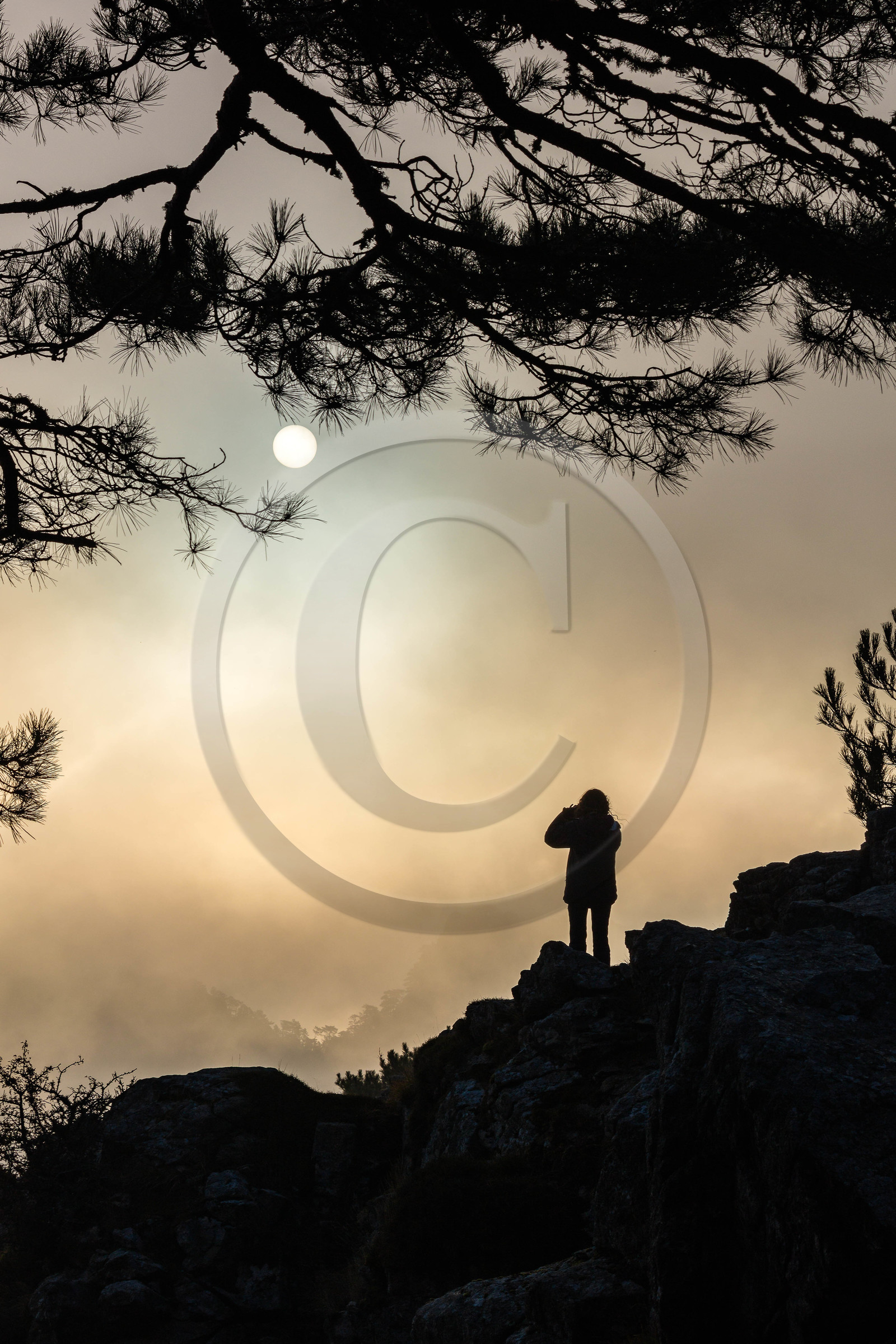 Les Aiguilles de Bavella (forchi di Bavedda )