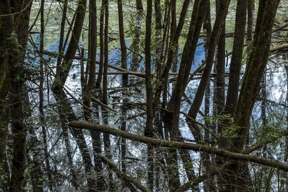 ENS de l'Isère, bois de la Bâtie