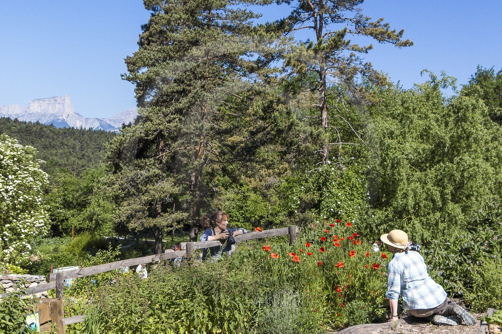 Parc écologique Terre Vivante, stage photo macro nature