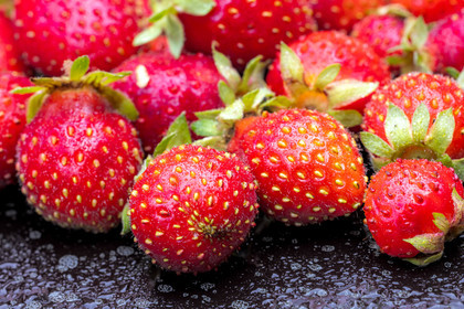 Ecrins de fruits, producteur de fruits rouges