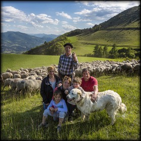 Ferme des Sonnailles, élevage et vente direct d'agneau
