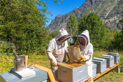 Margaux and Didier Pissard, beekeepers