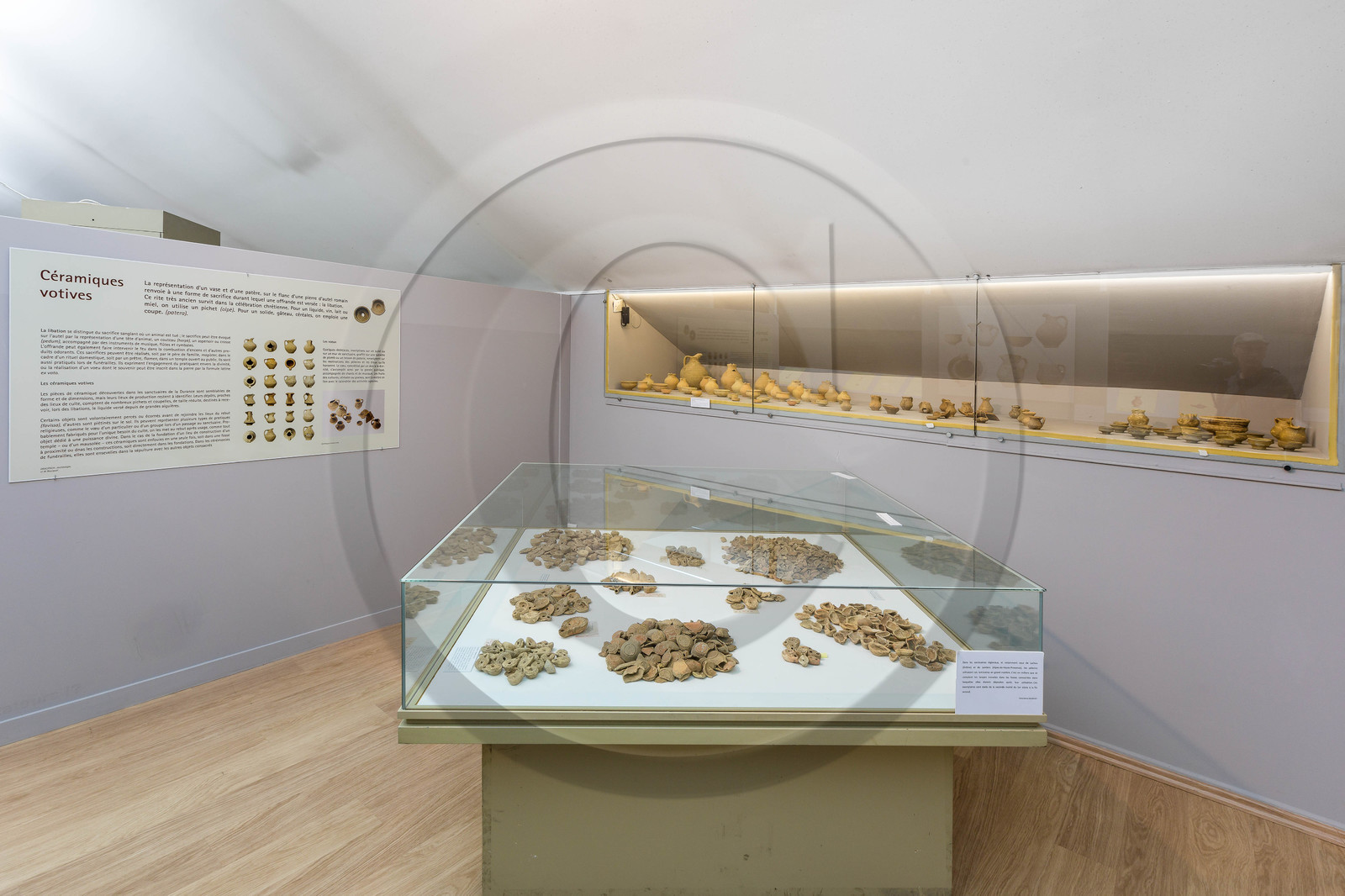 Gap, Musée Muséum départemental des Hautes-Alpes